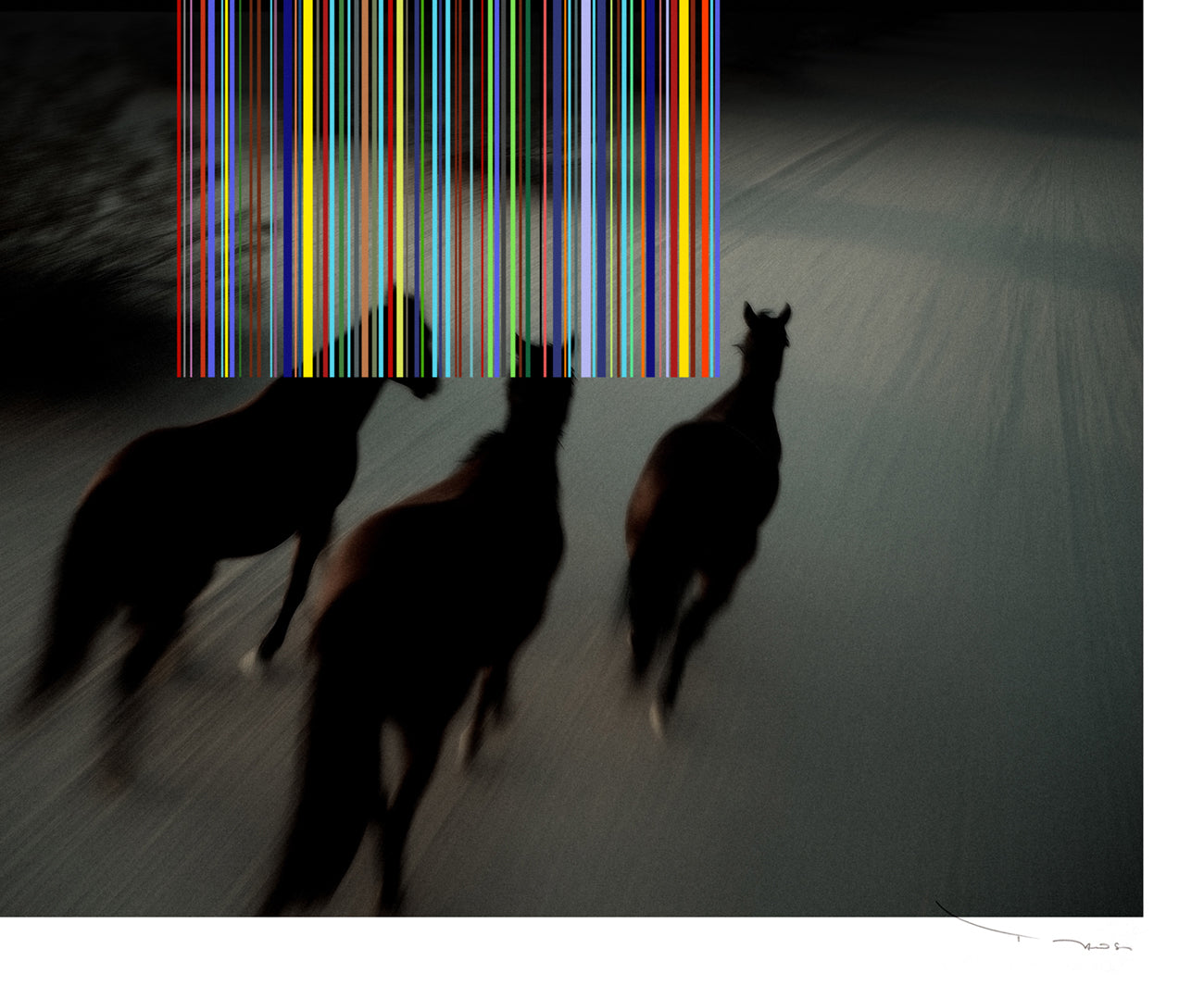 Tehos – Wild Horses (2026) Édition limitée, tirage Fine Art numéroté et signé