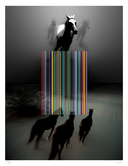 Tehos Wild Horses 2026 édition limitée numérotée signée art contemporain