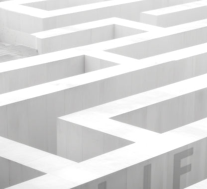 Life - Édition Limitée Tehos Numérotée Signée | Art Contemporain