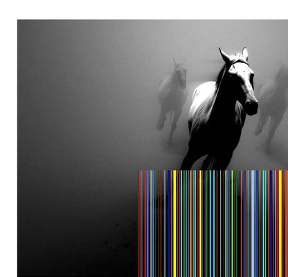 Tehos – Wild Horses (2026)  Édition limitée, tirage Fine Art numéroté et signé