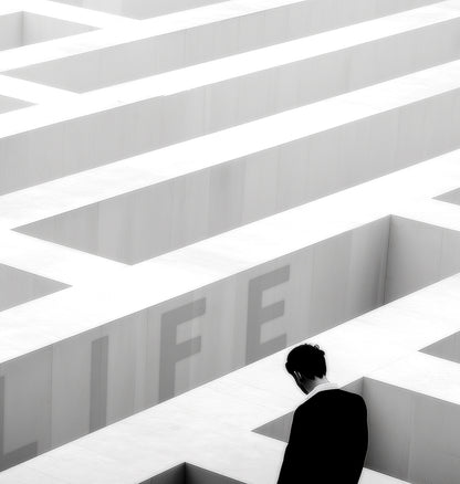 Life - Édition Limitée Tehos Numérotée Signée | Art Contemporain