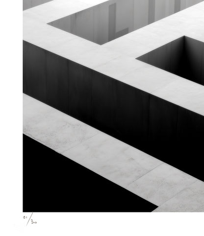 Life - Édition Limitée Tehos Numérotée Signée | Art Contemporain